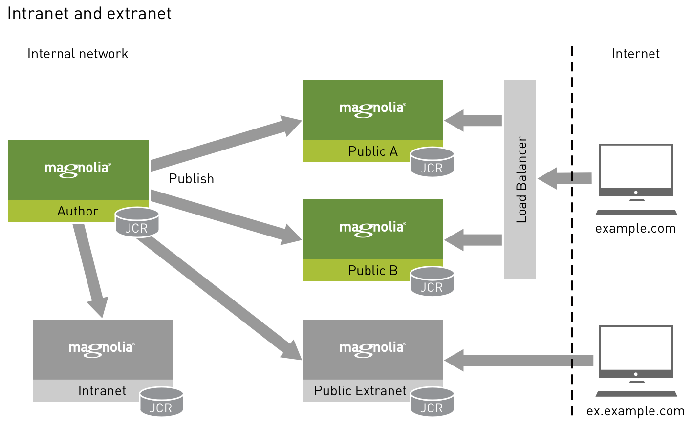 Intranet and extranet