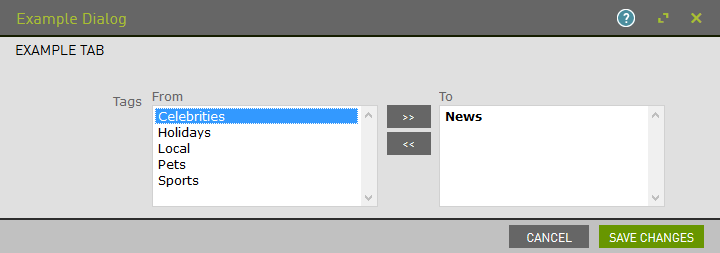 Example of a twin column dialog