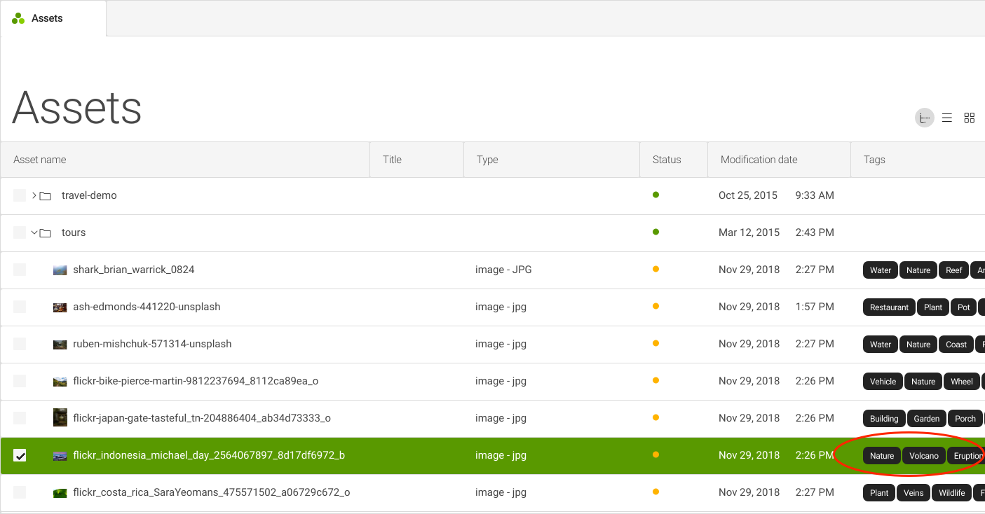 Tags shown in Assets app