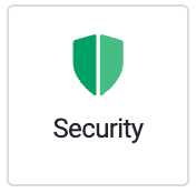 Security icon