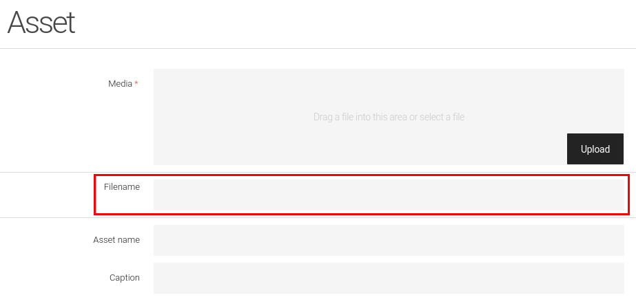 Filename field in the asset upload dialog